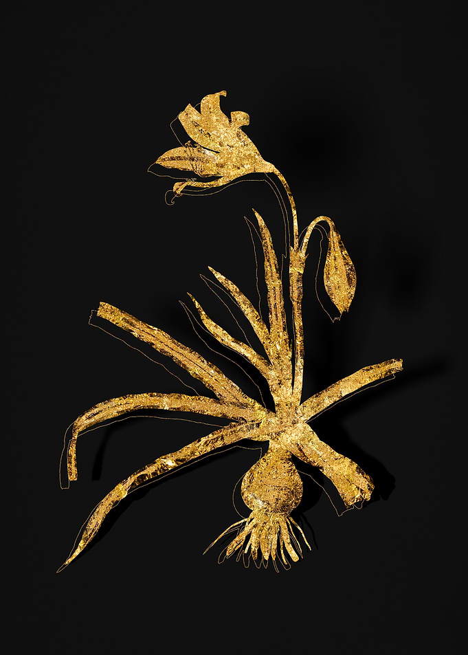 Gold Flora on Black