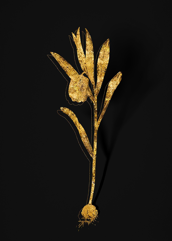 Gold Floral on Black