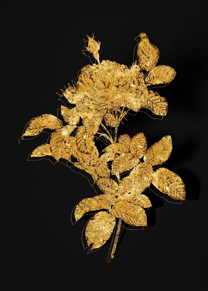 Gold Flora on Black