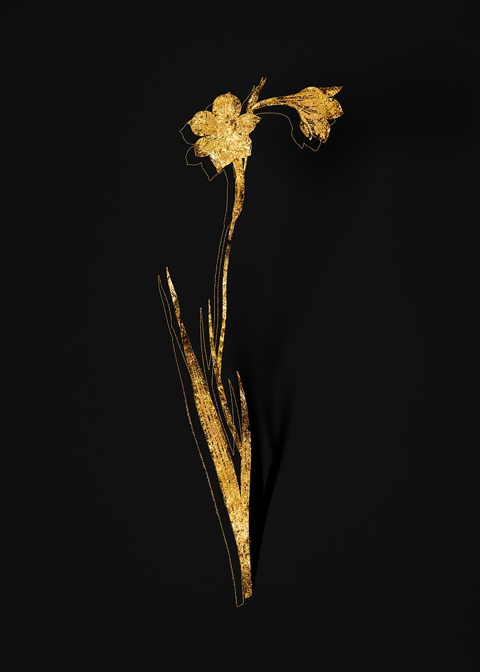 Gold Botanical on Black