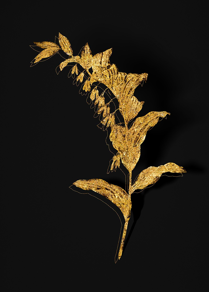 Gold Flower on Black