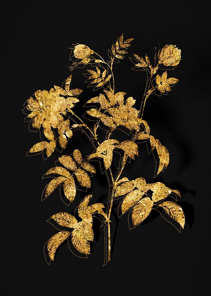 Gold Botanical on Black