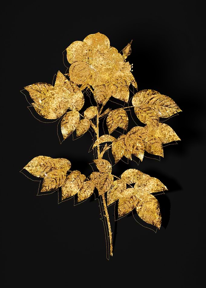 Gold Flora on Black