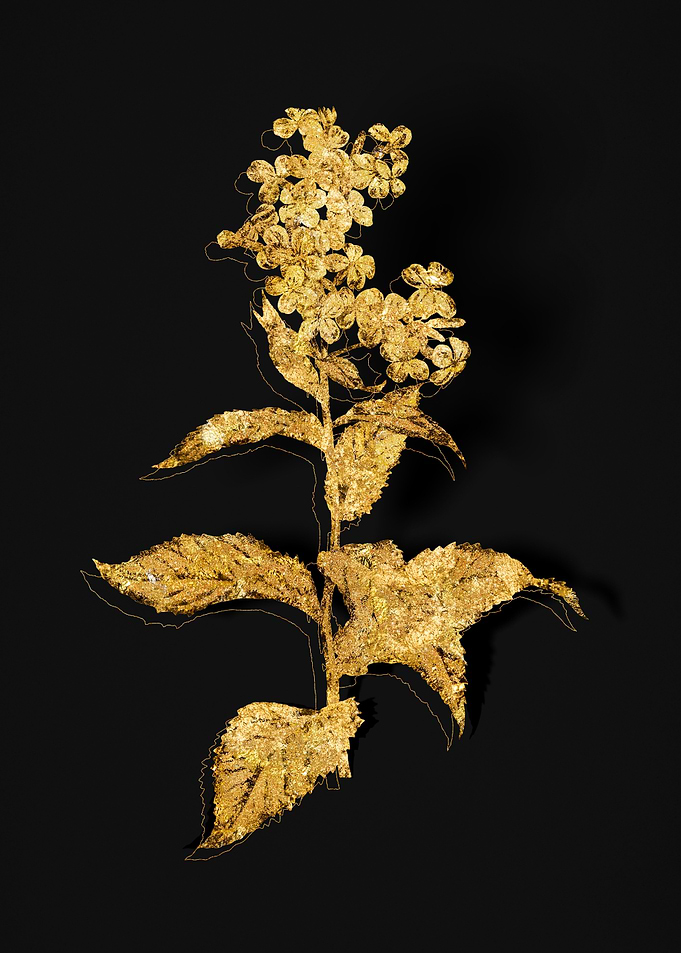 Gold Flower on Black