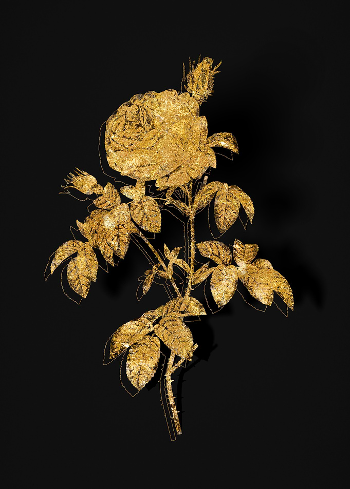 Gold Flora on Black