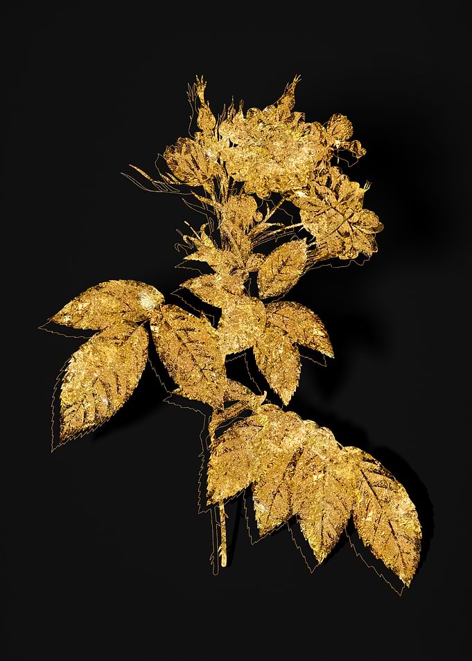 Gold Flora on Black