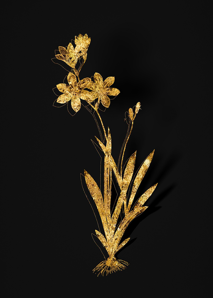 Gold Flower on Black