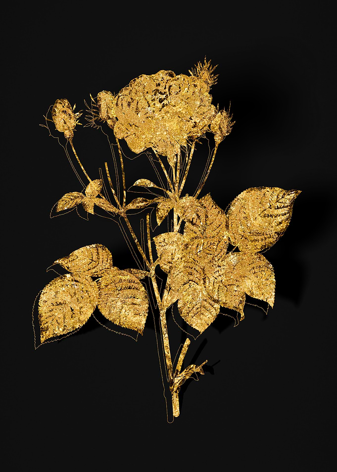 Gold Flora on Black
