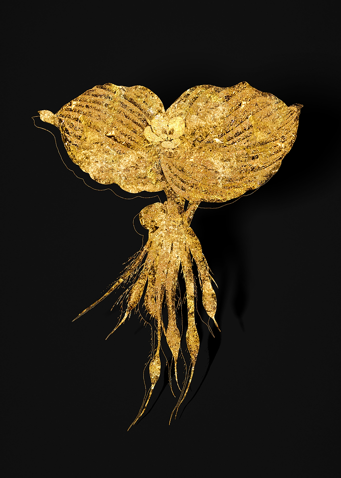 Gold Flora on Black