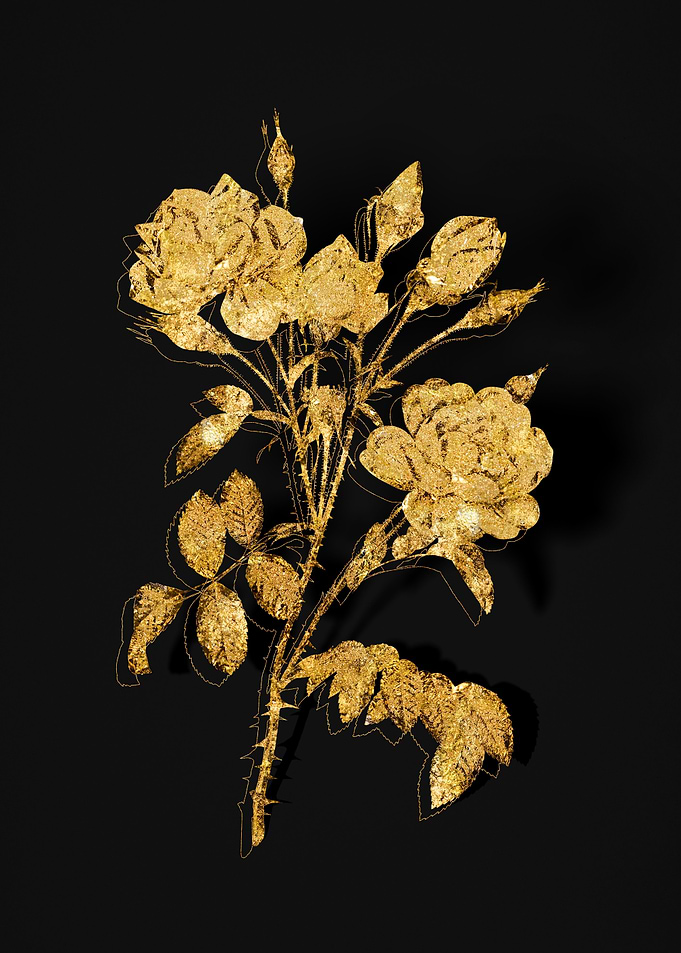 Gold Flower on Black