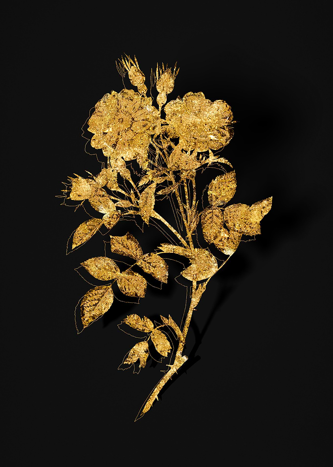 Gold Flora on Black