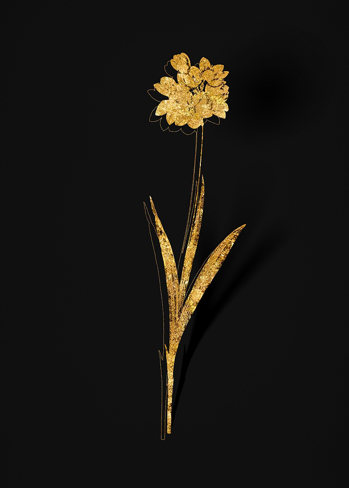Gold Flower on Black