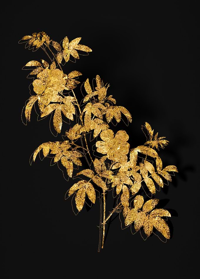 Gold Flora on Black