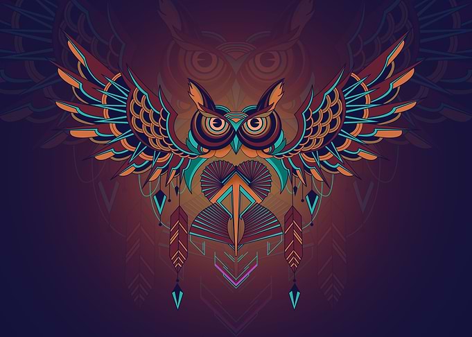 Owl Geometry