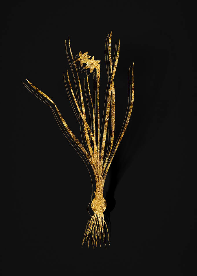 Gold Flora on Black