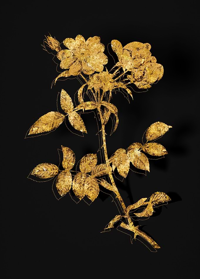 Gold Flora on Black