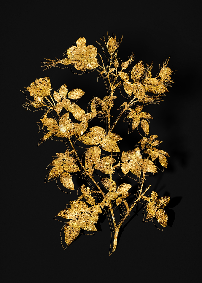 Gold Flora on Black