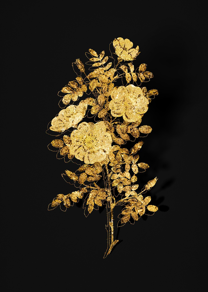Gold Flower on Black