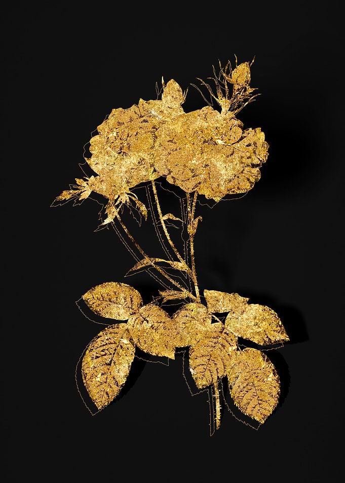 Gold Flora on Black