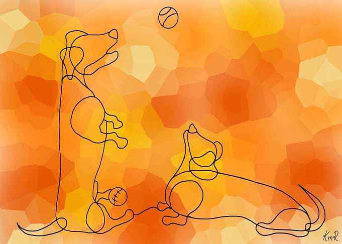 Dachshund Line Doodle