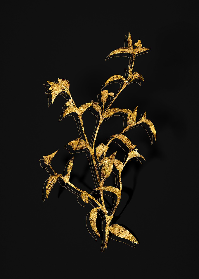 Gold Botanical on Black