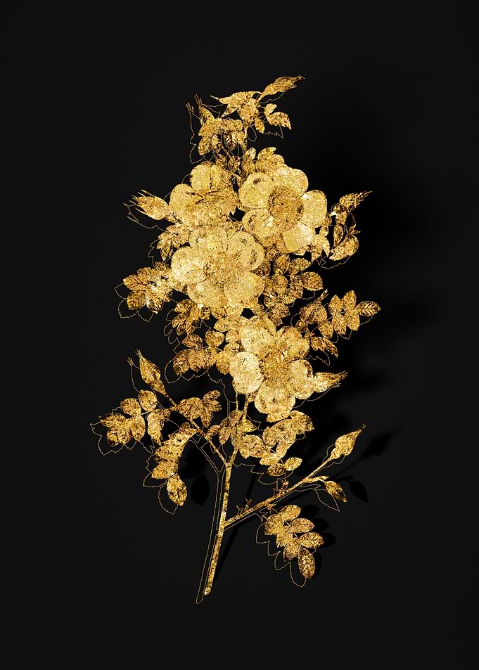Gold Botanical on Black
