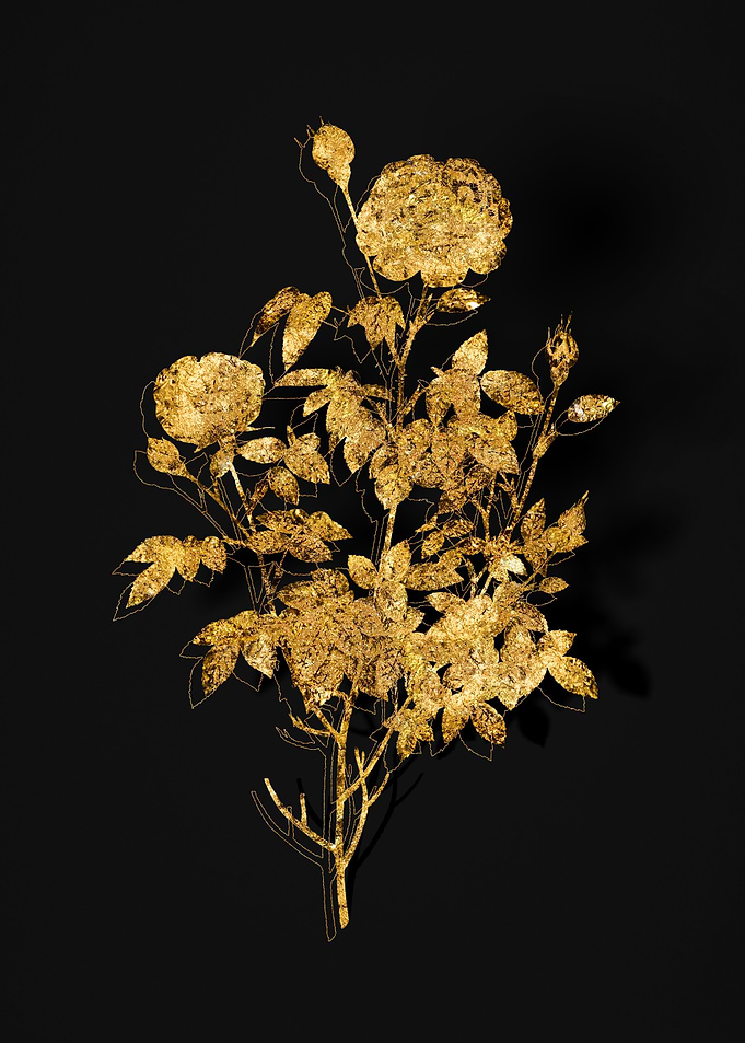Gold Flower on Black