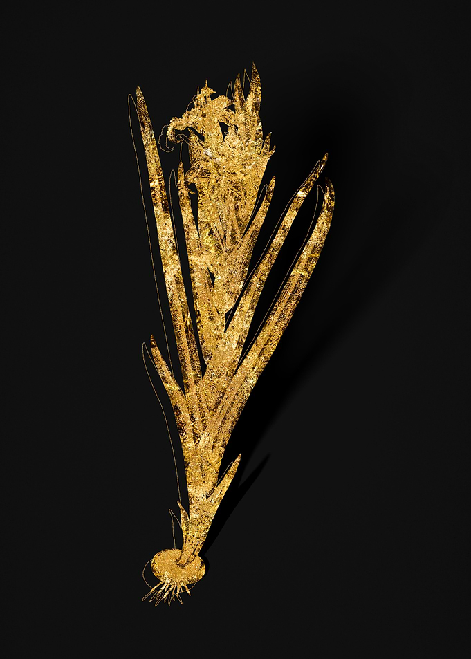 Gold Floral on Black