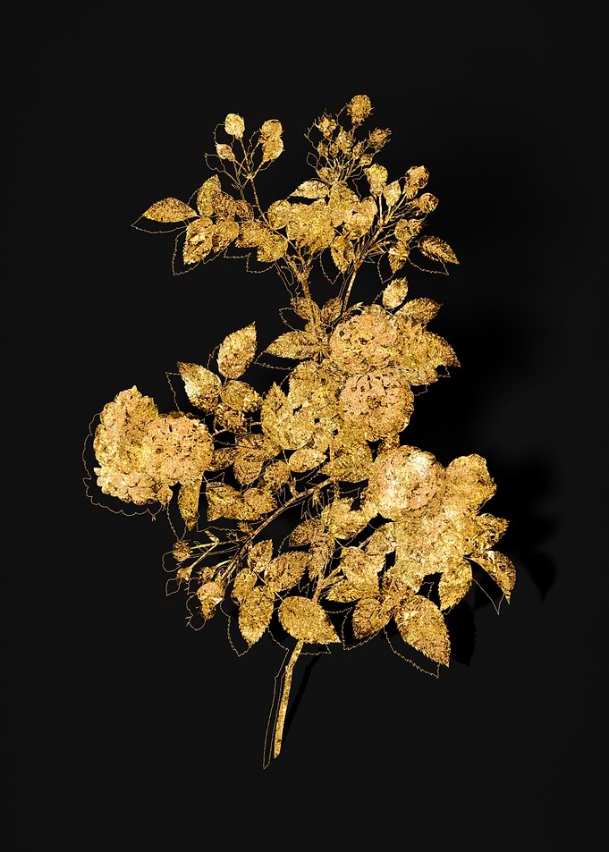 Gold Botanical on Black