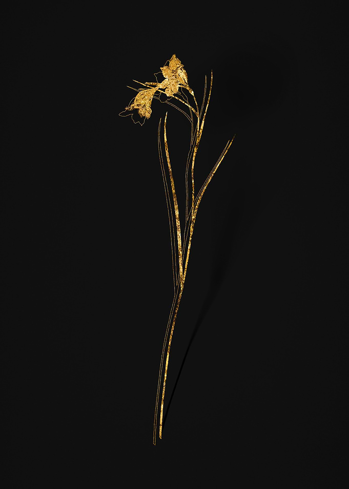 Gold Flower on Black