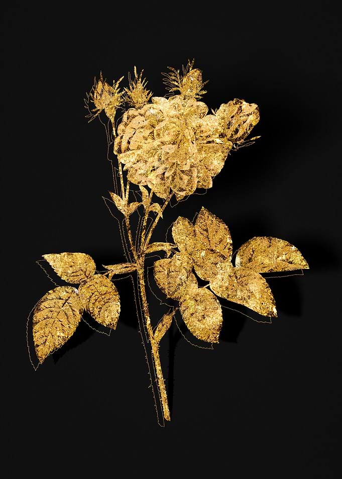 Gold Botanical on Black