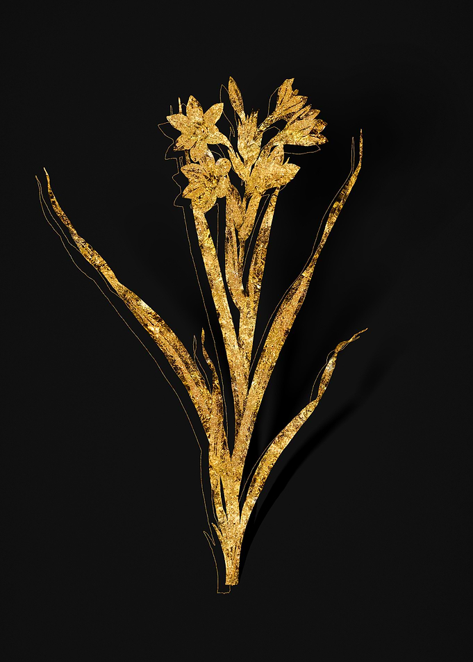 Gold Botanical on Black