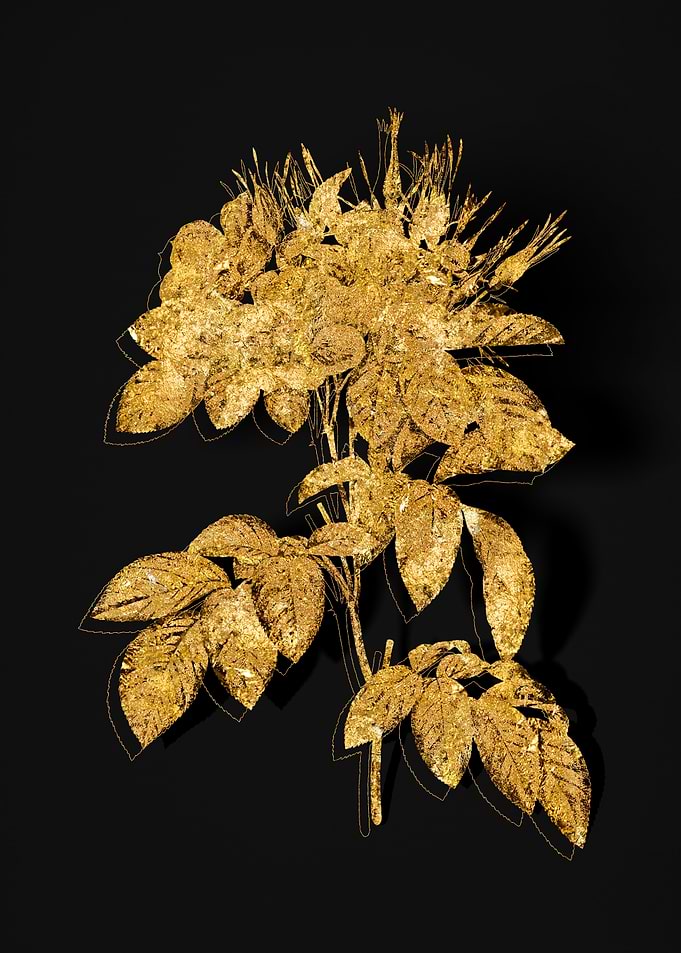 Gold Flora on Black