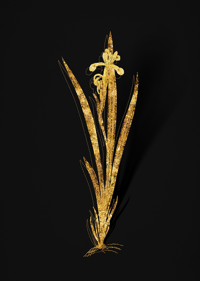 Gold Flower on Black