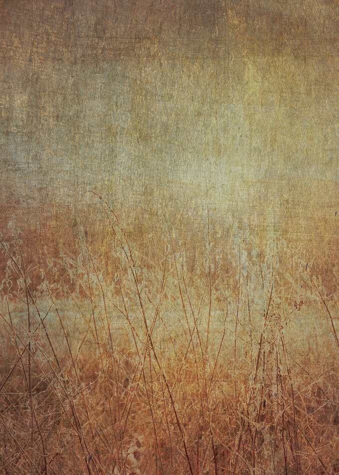 Winters Frost