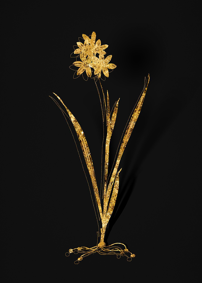 Gold Flower on Black