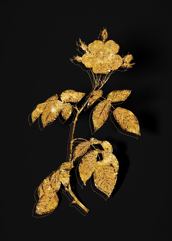 Gold Flora on Black