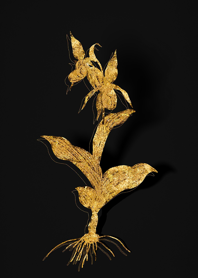 Gold Flora on Black