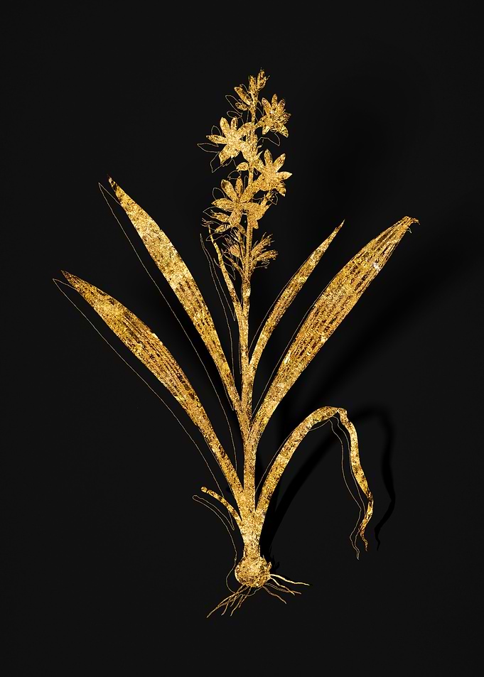 Gold Flower on Black
