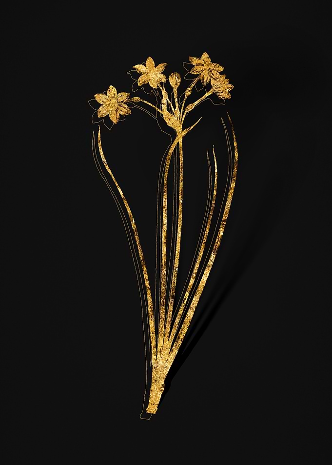 Gold Flora on Black