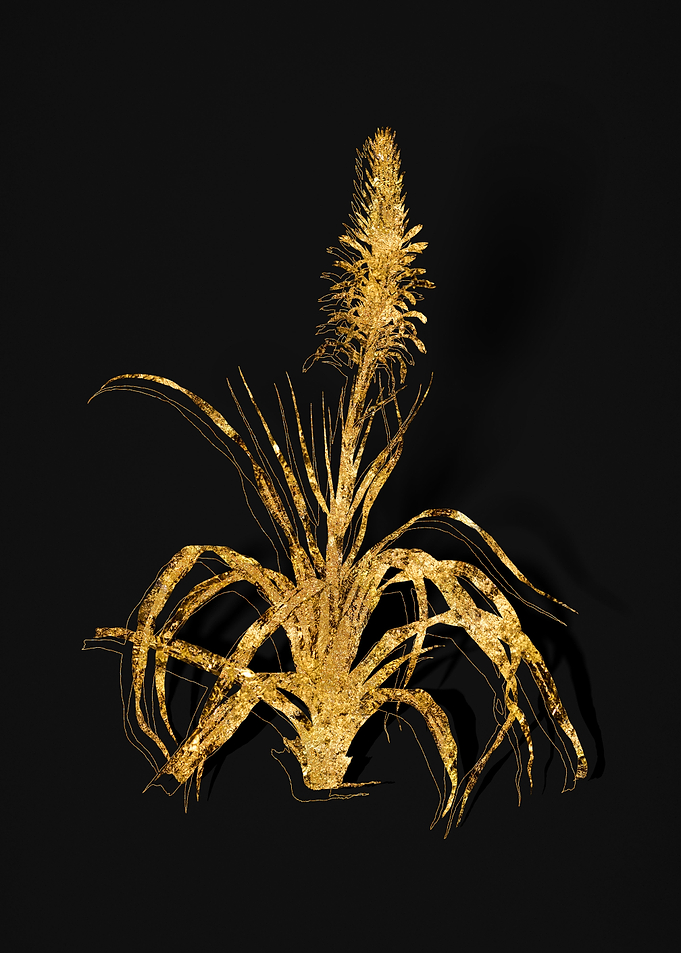 Gold Botanical on Black