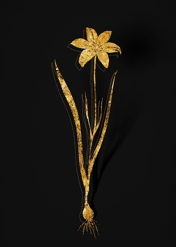 Gold Flora on Black