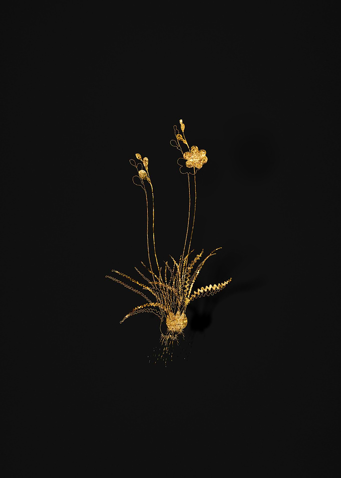 Gold Flower on Black