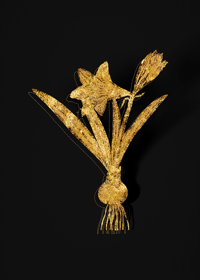 Gold Flower on Black