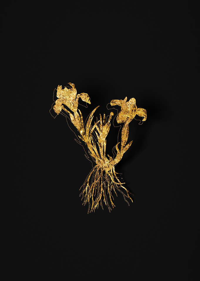 Gold Flora on Black