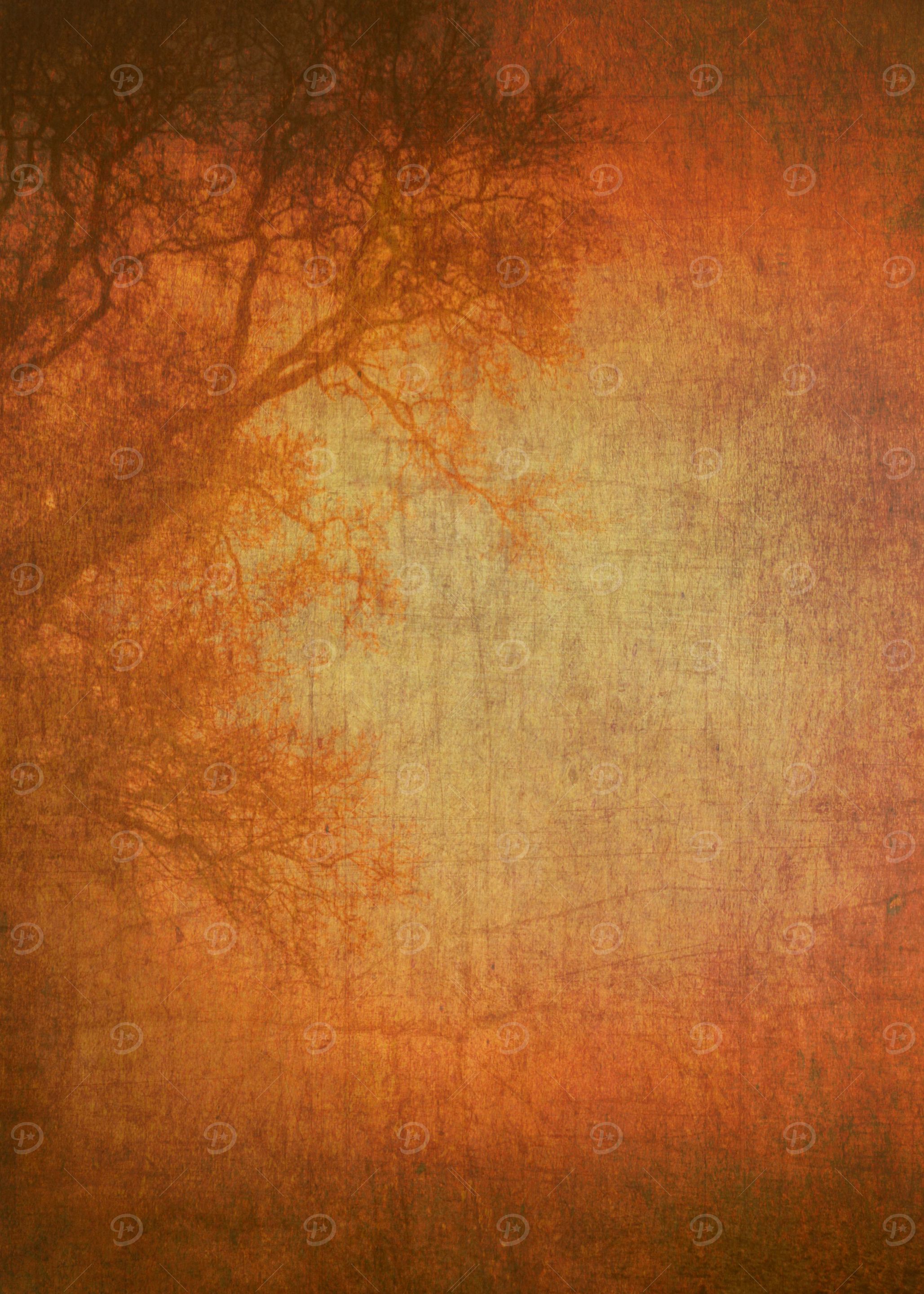 The Coming Dawn