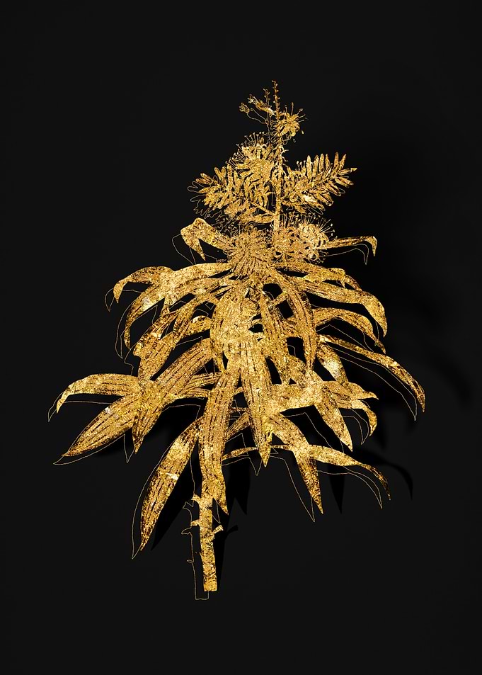 Gold Flora on Black