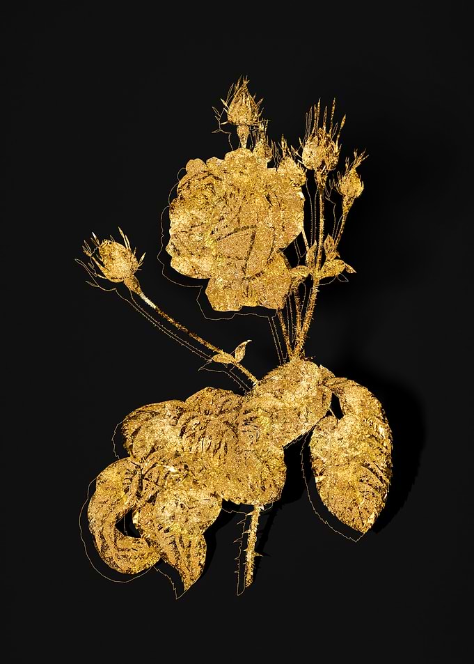 Gold Flora on Black