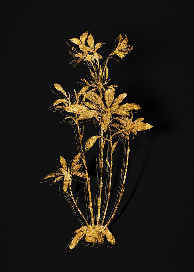 Gold Flora on Black