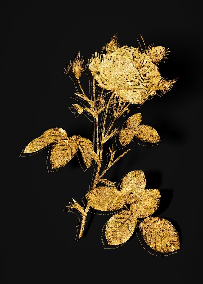 Gold Flower on Black